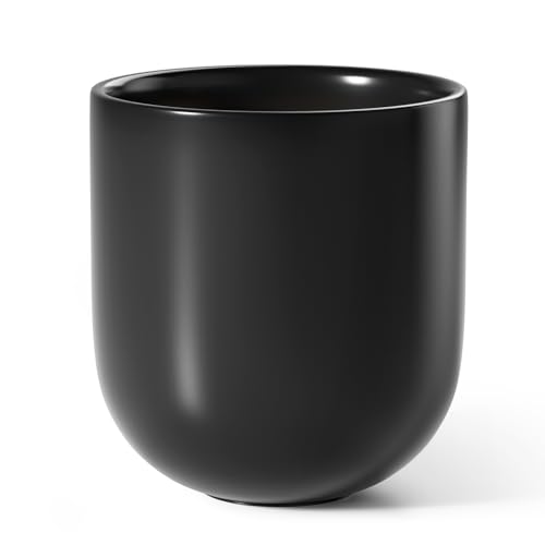 LE TAUCI 10 Inch Plant Pot, Ceramic Pots for Plants, Black - color: Black, size: 10"