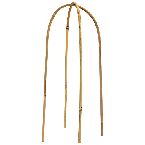 Coloch 20 Pack Bamboo U Trellis Support, 16 Inch U Loop Plant Stake Arch Garden Trellis for Potted Plants, Climbing Flowers and Vines, Ivy, Outdoor Planting