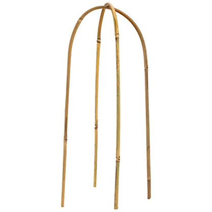 Coloch 20 Pack Bamboo U Trellis Support, 16 Inch U Loop Plant Stake Arch Garden Trellis for Potted Plants, Climbing Flowers and Vines, Ivy, Outdoor Planting