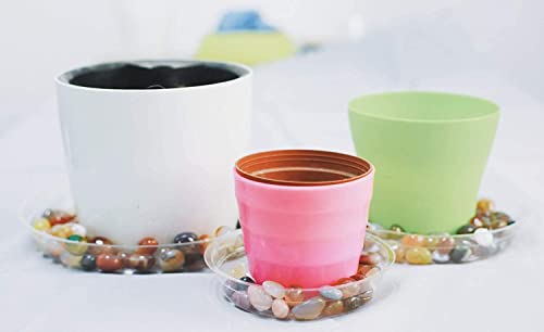 TRUEDAYS 20 Pack 6 Inch Plant Saucers Clear Plant Saucers Flower Pot Plastic Drip Trays Excellent for Indoor & Outdoor Plants - size: 20-Pack (6'' Only)