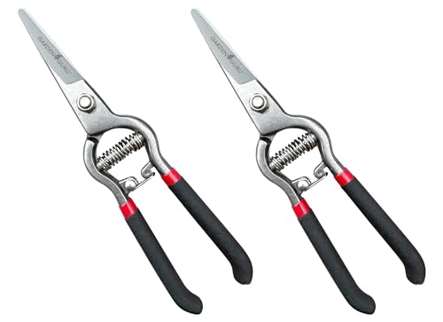 Garden Guru Classic Bypass Pruning Shears Clippers – Heavy Duty Forged Steel Garden Pruners – Safety Lock – Non Slip Comfort Grips – Cuts up to 1” Diameter – Professional Bypass Pruners (2 Pack) - size: 2 Pack, style: Precision Blade