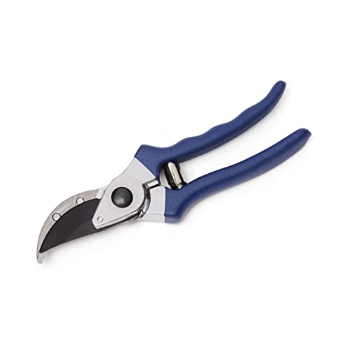 Amazon Basics Professional Bypass Pruning Shears, Garden Clippers, 8-inch Steel Hand Pruners, Rust Resistant with Ergonomic Non-Slip Grip for Trimming Plants and Cutting Flowers, Blue - size: 8-inch