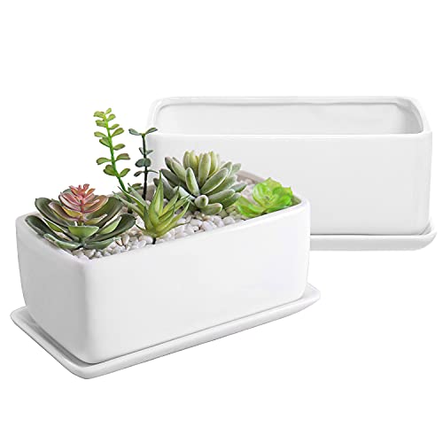 MyGift White Ceramic Succulent Planter with Drainage & Saucer, 2 Pack - size: 10 inch - 2 Pack