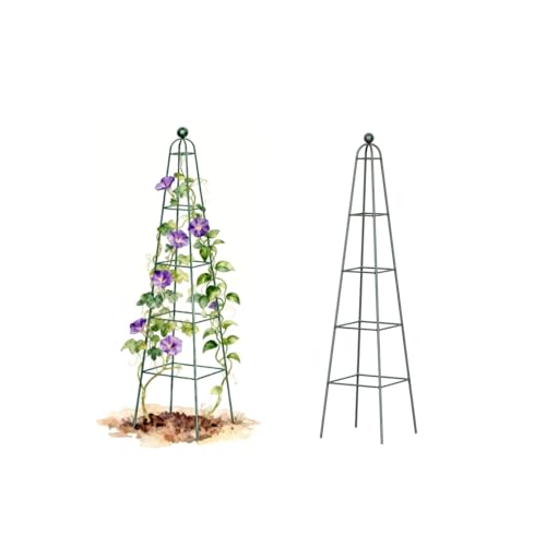 Vego Garden 6.5 ft Pyramid Obelisk Garden Trellis, Metal Rustproof Plant Support Rose Trellis, Tower Potted Cages for Flowers Fruits Vegetable Vines Indoor & Outdoor - size: 6.5 Ft