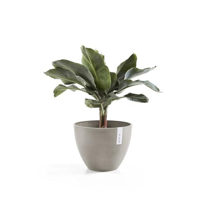 Ecopots Antwerp Round Tapered Flower Planter, Taupe, 12" - color: Taupe, size: 12"