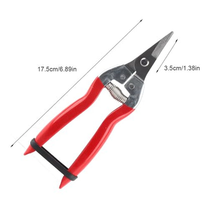 Professional Garden Pruning Shears for Roses and Flowers, Curved Blade Stainless Steel Hand Pruners, Heavy Duty Plant Trimming Scissors for Fruit Harvesting and Flower Arranging