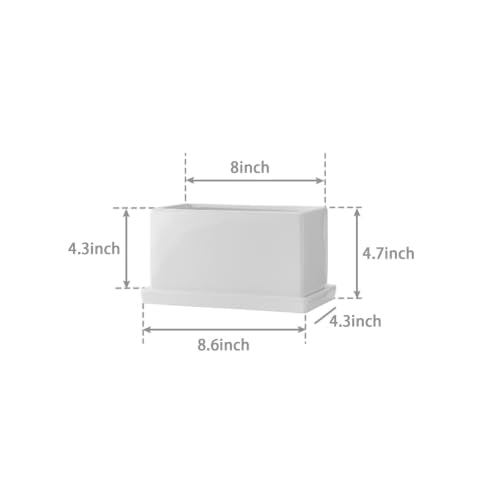8 Inch Rectangular Ceramic Plant Pot, Window Box, Glazed White - color: White, size: 8 Inch