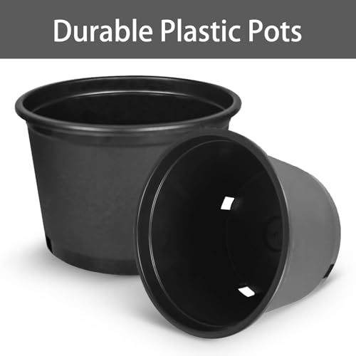 2 gallon Plant Nursery Pot 10-Pack 2 Gallon Short Plastic Garden Planter Pots Flower Seedling Injection Molded Container Seed Starting Pot Set for Indoor Outdoor Plants Seedlings Vegetables Black - size: Short 2 Gallon