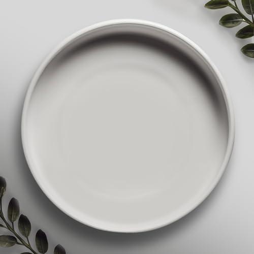 Willowy Matte White Ceramic Pot Saucer - Drainage Tray for 6, 7, 8, 9 Inch Planters + More Sizes - color: Matte White, size: 9" (1 Pack)