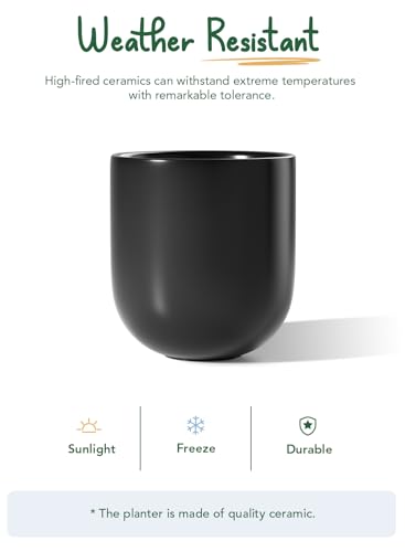 LE TAUCI 10 Inch Plant Pot, Ceramic Pots for Plants, Black - color: Black, size: 10"