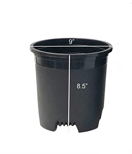 2 Gallon 10-Pack Nursery Pot Black Plastic Planters for Outdoor Indoor Plants Gardening Flower Pots Plant Pots with Drainage Holes - color: Black, size: 10-Pack 2 Gal