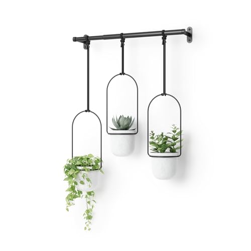 Umbra Triflora Hanging Planter, Indoor Herb Garden, Set of 3, White/Black - color: White/Black, size: Set of 3, style: Set of 3