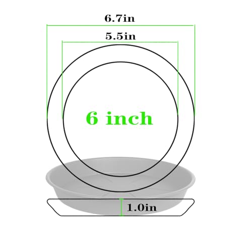 OVZILKI 6 Pack of Plant Saucer Tray 4 6 8 10 12 14 17 19 22 25 inch, Heavy Duty Plastic Pot Plant Drip Trays Saucers for for Indoors Outdoor, Plant Water Tray for Planters 4-7" (6", Teal) - color: Teal, size: 6" - 6 Pack