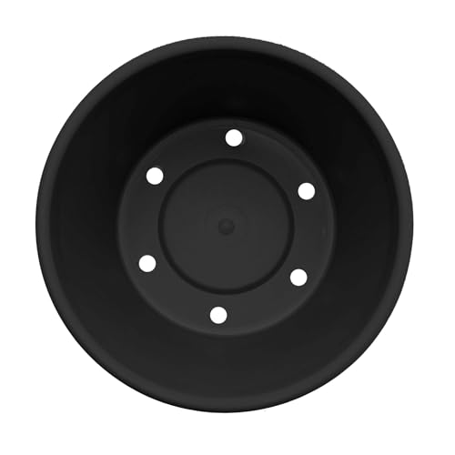 Bloem Terra 6" Plastic Planter, 0.5 Gallon, Black, 10-Pack - color: Black, size: 6" (Pack of 10)
