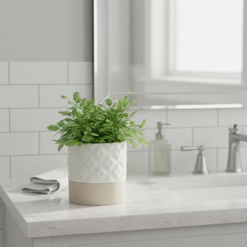 Nihow Self Watering Ceramic Plant Pot, 4.5 Inch, Matte White & Brown Star - color: Matte White & Brown Star, size: 4.5" Self Watering