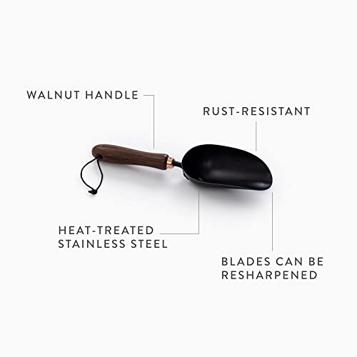 Barebones Garden Scoop - Garden Spoon - Stainless Steel Small Hand Shovel for Transplanting, Digging, and Planting - Great Home Gardening Hand Tools (Walnut/Black) - color: Walnut/Black, size: Garden Scoop
