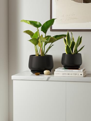 LE TAUCI Plant Pots, 4.1+5.1+6.5 inch, Set of 3, Black, Indoor Pot - color: Black