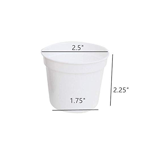 Round Succulents Plant Pots Drainage Hole, Set of 40 Mini Plant Pots 2.5" Wx2.25 H,Perfect for Plant Seeds,Seedling Nursery Transplanting Planter Container(White-40)