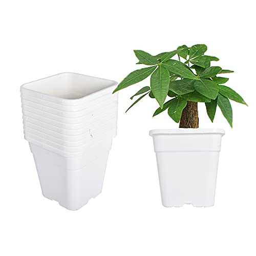 10-Pack 3 Gallon Square Nursery Pots Plastic Garden Planter Pots Flower Seedling Container for Indoor Outdoor Plants Seedlings Flowers Vegetables White - size: 3 Gallon