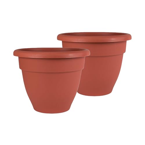 The HC Companies 10 Inch Caribbean Planter Pots with Drainage & Plug, Rolled Rim Plastic Planters for Indoor & Outdoor Plants, 2-Pack Decorative Flower Pots for Garden, Office & Home Decor, Clay - color: Clay, size: 10", style: Pack of 2