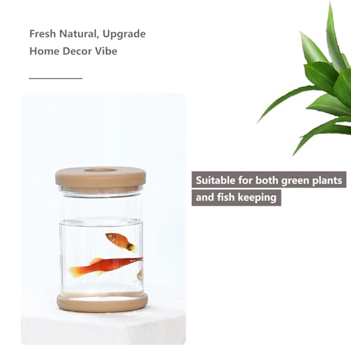 Desktop Plant Propagation Station, Hydroponic Glass Vase Water Plant Jars, Modern Desktop Gardening Decor for Home Office