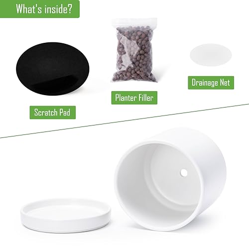 D'vine Dev 2-Pack Ceramic Pots with Saucers, 6/8 in, White, 94-G-M-1 - color: White, size: Medium