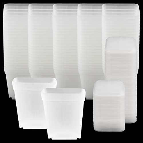 100 PCS 3 Inches Plastic Square Nursery Pot, Transparent Square Plastic Starter Pots with Saucers and Drainage Hole, Clear Nursery Pots for Your Room, Garden, Office and Balcony Decor - size: 3 Inch 100 PCS
