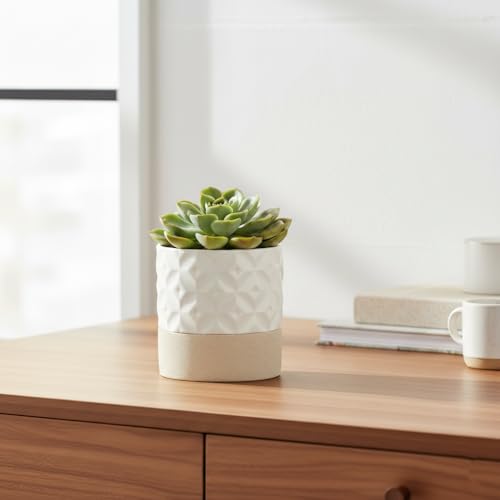 Nihow Self Watering Ceramic Plant Pot, 4.5 Inch, Matte White & Brown Star - color: Matte White & Brown Star, size: 4.5" Self Watering