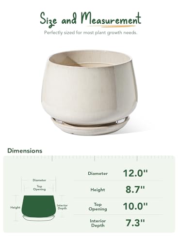 LE TAUCI Ceramic Planter, 12 Inch, Large Plant Pot, Reactive Glaze Beige - color: Reactive Glaze Beige, size: 12"