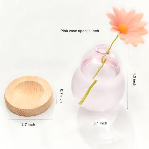 Pink Plant Propagation Cute Bubble Flower Vase Glass Planter Terrarium Jar - color: Pink