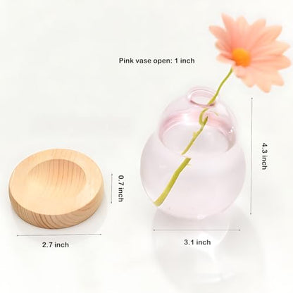 Pink Plant Propagation Cute Bubble Flower Vase Glass Planter Terrarium Jar - color: Pink