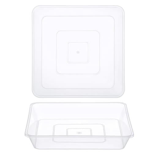 GREANER 8 Inch Plastic Plant Saucer-Fits 5-6 Inch Pot Bottom, 2 PCS Clear Pebble Tray for Plant Humidity, Flower Plant Drip Trays for Indoor & Outdoor Plants - color: Clear, size: 8 Inch