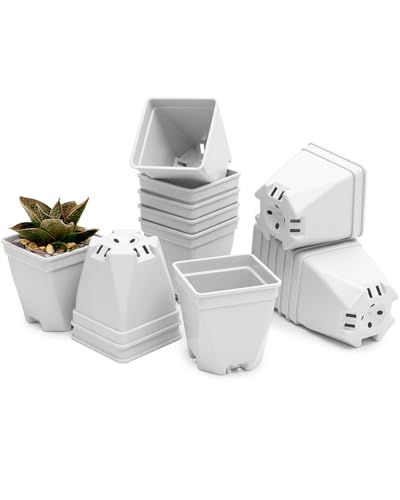 1.5-Inch Nursery Pots, Thick-Walled PP Plastic, for Home, Office & Garden, Seed Starting & Propagation (48, White) - color: White