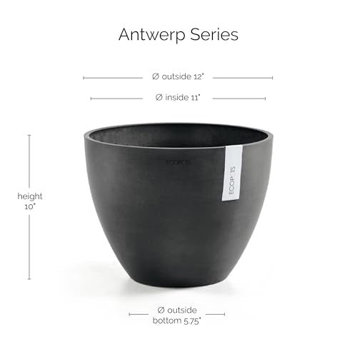 Ecopots Antwerp Round Tapered Flower Planter, Dark Grey, 12" - color: Dark Grey, size: 12"