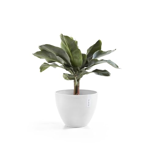 Ecopots Antwerp Durable Modern Round Indoor/Outdoor Recycled-Based Composite Flower Pot Planter, Pure White, 16" - color: Pure White, size: 16"