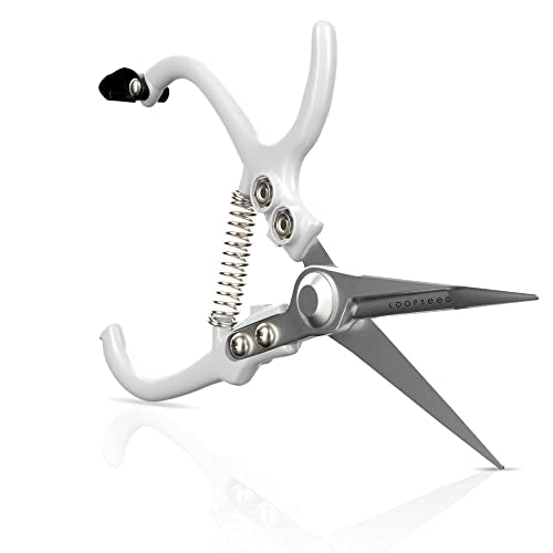 Precision Garden Trimming Scissors & Hand Pruner - White