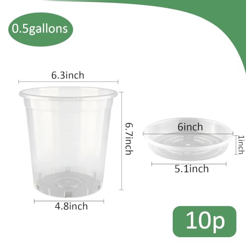 BTPLASTIK 0.5 Gallon Clear Nursery Pots with Saucers 10P, 6.5 Inch Round Plastic Plant Pots with Drainage Holes - size: 0.5 Gallon + Saucers 10P