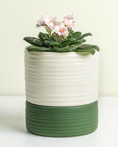 Fayoula Self Watering Pots for Indoor Plants, 6 Inch Ceramic Self Watering Plant Pot, Planter Pot with Wick Rope and Drainage Hole for African Violet Succulent Herbs (White Matte) - color: White Matte