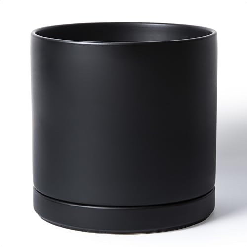 D'vine Dev 12 Inch Ceramic Planter Pot, Black, 94-O-F-2 - color: Black, size: X-Large