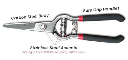 Garden Guru Classic Bypass Pruning Shears Clippers – Heavy Duty Forged Steel Garden Pruners – Safety Lock – Non Slip Comfort Grips – Cuts up to 1” Diameter – Professional Bypass Pruners for Gardening - size: 1 Pack, style: Precision Blade