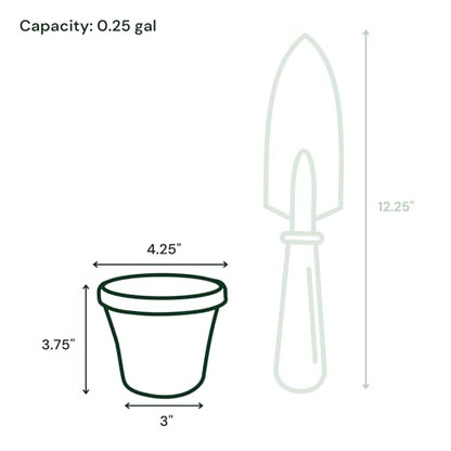 Bloem Terra 4" Plastic Planter, 0.25 Gallon, Black, 10-Pack - color: Black, size: 4" (Pack of 10)