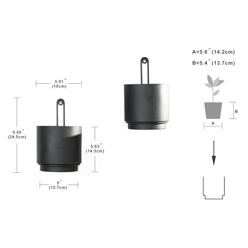 2 Pcs Wall Mounted Hanging Planter Vase for Indoor and Outdoor Plants Modern Metal Wall and Ceiling Planter Minimalist Flower Pot (Black, 5.91 inch) - color: Black