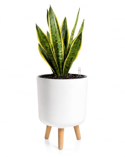 Bamworld Self Watering Pots for Indoor Plants with Water Level Indicator - size: 10 in