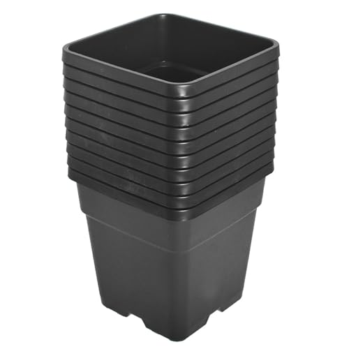 10 Pack 1.4 Gallon Plastic Planter Nursery Seedling Pots Square with Holes Garden Flower Seedling Pot Container for Seedling Cuttings Transplanting