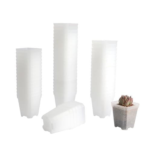 60 Pack Small 2.70 Inch Plastic Square Nursery Pot, Plant Starting and Transplant Planter Container with Drainage Hole for Seed Germination, Clear
