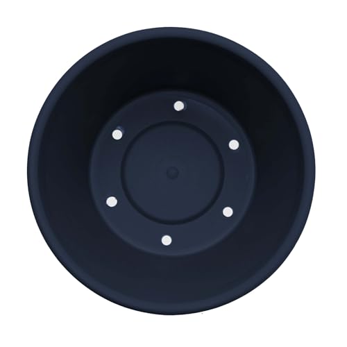 Bloem Terra 8" Plastic Planter, 1 Gallon, Navy, 6-Pack - color: Navy, size: 8" (Pack of 6)