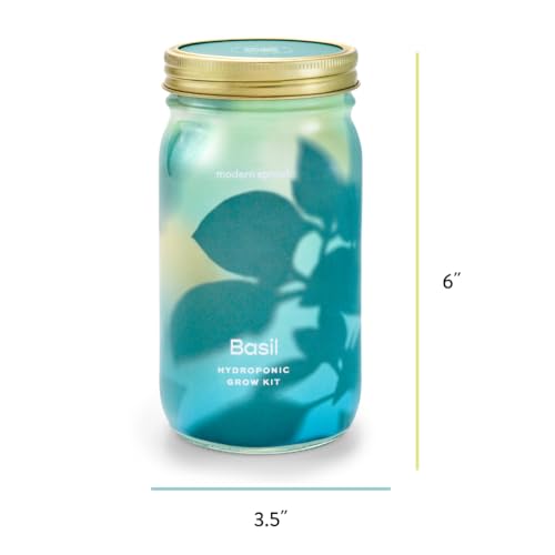 Modern Sprout Mason Garden Jar-Self-Watering Hydroponics Kit-Basil+Parsley - color: Basil+parsley, size: Garden Jars