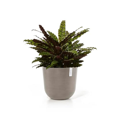 Ecopots Oslo Round Flower Planter, Taupe, 17.75" - color: Taupe, size: 17.5"