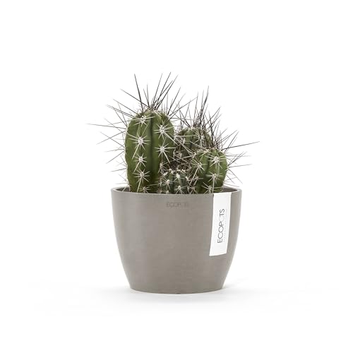 Ecopots Stockholm Round Flower Planter, Taupe, 6" - color: Taupe, size: 6"