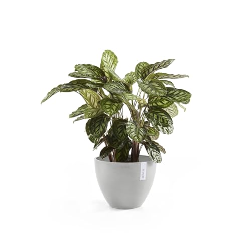 Ecopots Antwerp Round Tapered Flower Planter, White Grey, 12" - color: White Grey, size: 12"